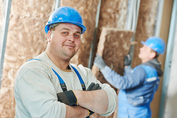 Best DIY Insulation Kits and Guidance in Mayflower, AR