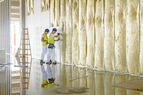 Best Cellulose Insulation in Mayflower, AR